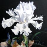 Prizewinner