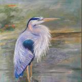 Linda's Heron