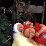 Christmas 2016 Show entry: Summer & Precious (I.L)