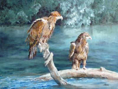 The Sunbathers, Juvenile Eagles