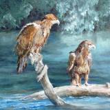 The Sunbathers, Juvenile Eagles