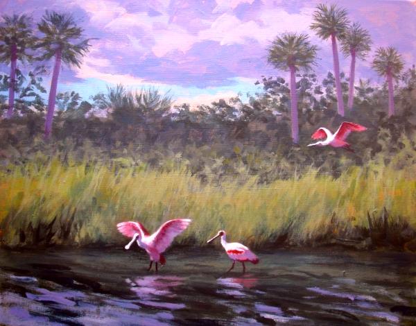 Back Country Spoonbills