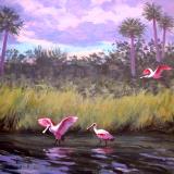 Back Country Spoonbills