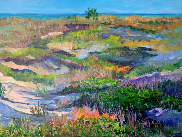 Illinois Beach State Park Dunes