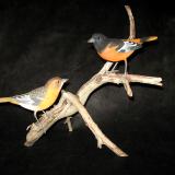 Pair Life Size Orioles - sold