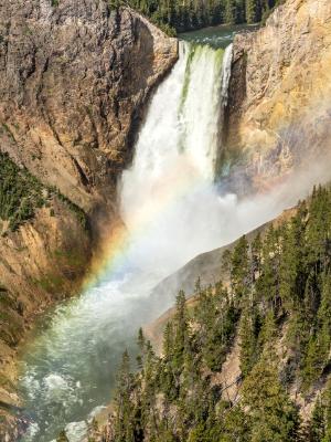 Lower Falls and Yellowstone River Lower Falls and Yellowstone River