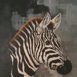 Zebra face 