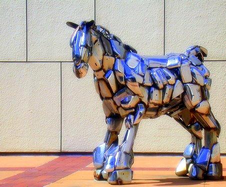 Wichita Horse
