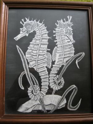 Seahorses