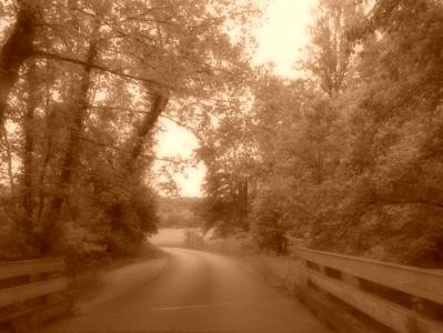 Cades Cove, TN    Bridge in Cades Cove   Great Smoky Mountain National Park