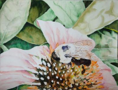 Pollination