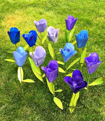 Colorful Tulips