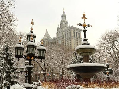 Snowy City Hall Park Snowy City Hall Park