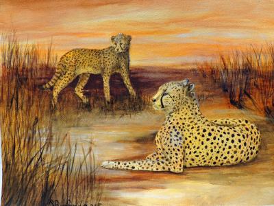 Cheetah Family 