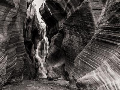Willis Creek Narrows Black & White Willis Creek Narrows Black & White