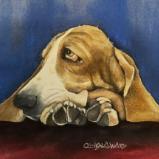 Paws to Delight (watercolor)