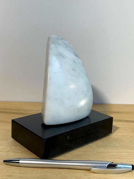 The Spirit Of Marin