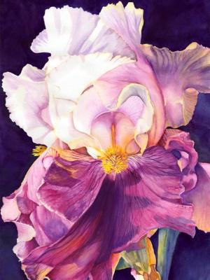 Iris I