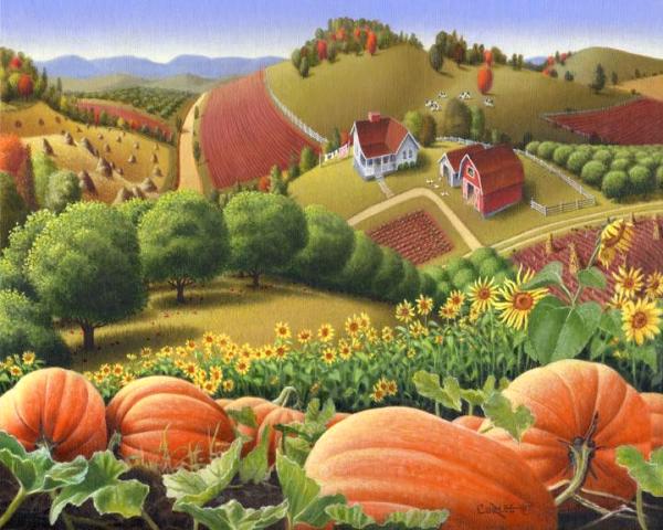 Appalachian Pumpkin Patch