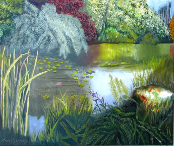 Beautiful Pond