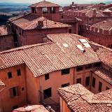 Florence Rooftops