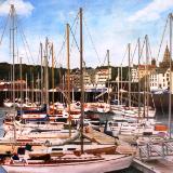  Yachts in St Peter Port harbour