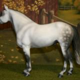 Breyer Adios - Custom SOLD