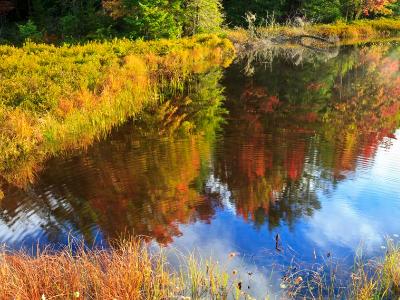 Autumn Trees Reflected in Fly Pond Autumn Trees Reflected in Fly Pond