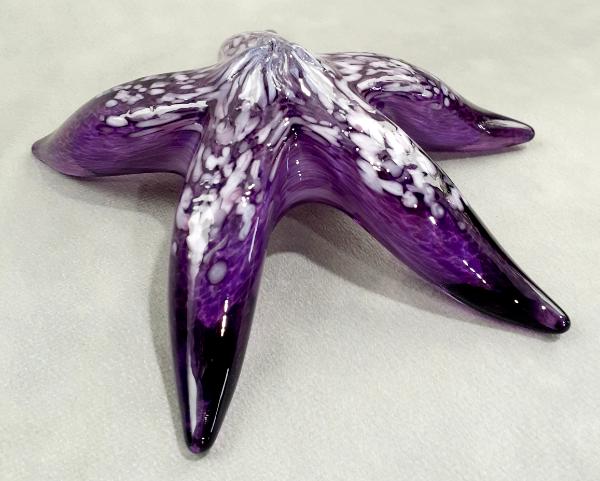 #10262642 Starfish with wall hanger 6''W $80.00