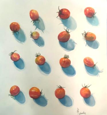 Pink Bumble Bee Tomatoes