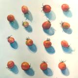 "BEEDEE EYE GALLERY "  Artwork by Barbara Bell Dubovsky       