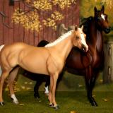 New! Custom repaints SOLD