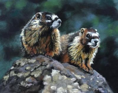 Marmot Rock Marmot Rock