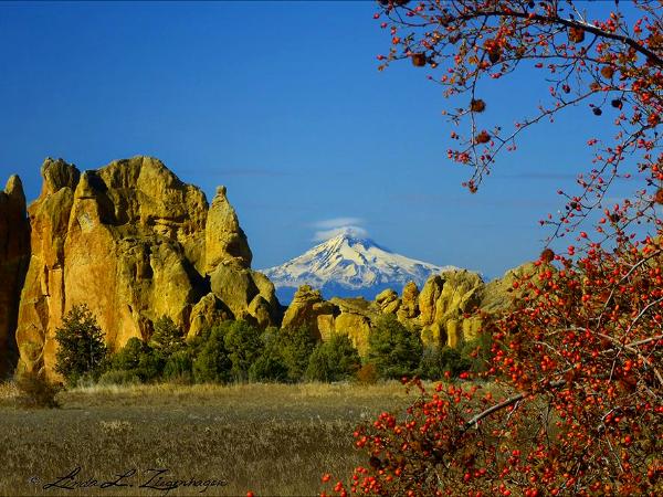 Mt. Jefferson & Red Berries