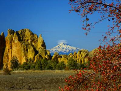 Mt. Jefferson & Red Berries