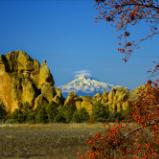 Mt. Jefferson & Red Berries