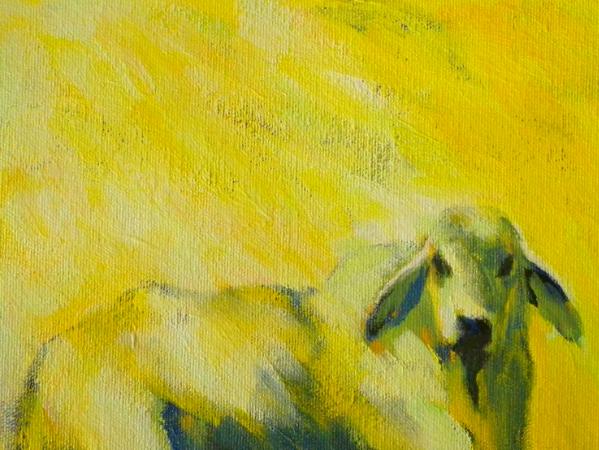 Yellow Bull