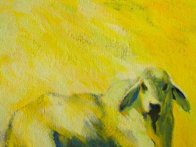 Yellow Bull Yellow Bull