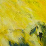 Yellow Bull