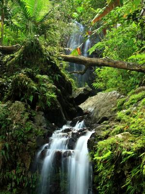 Tropical Double Falls Tropical Double Falls