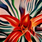 "O'Keefe Bromeliad"