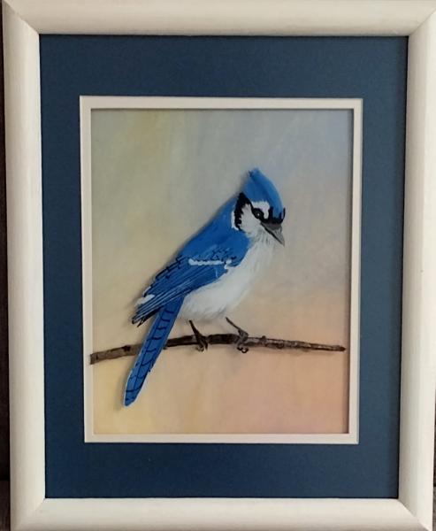 Blue Jay portrait