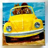 TWO BEAGLES IN A BUG