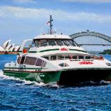 SuperCat "Susie O'Neill"