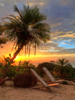 Palm Tree Chair Sunset HDR Palm Tree Chair Sunset HDR