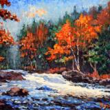 Oxtongue Rapids, Dwight, Ontario