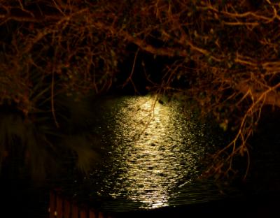 Full moon on the Rotonda channel