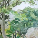 Making charcoal, Chagford