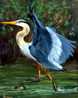 Tri-color Heron Waving Tri-color Heron Waving