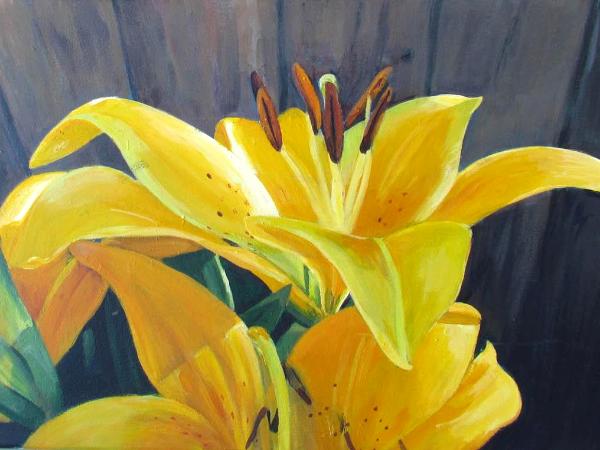 Sunlit Lily